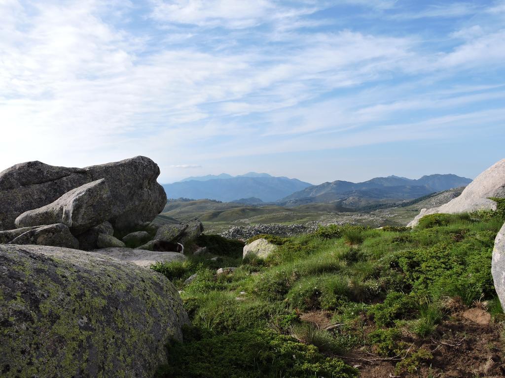Sole E Monti Ξενοδοχείο Quenza Εξωτερικό φωτογραφία