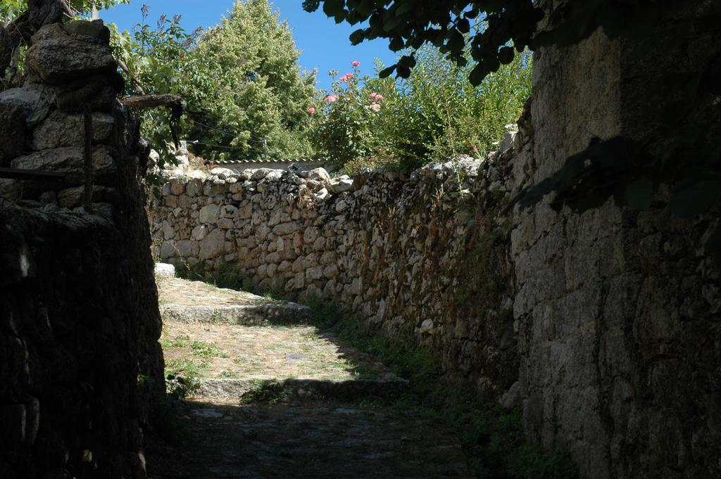 Sole E Monti Ξενοδοχείο Quenza Εξωτερικό φωτογραφία
