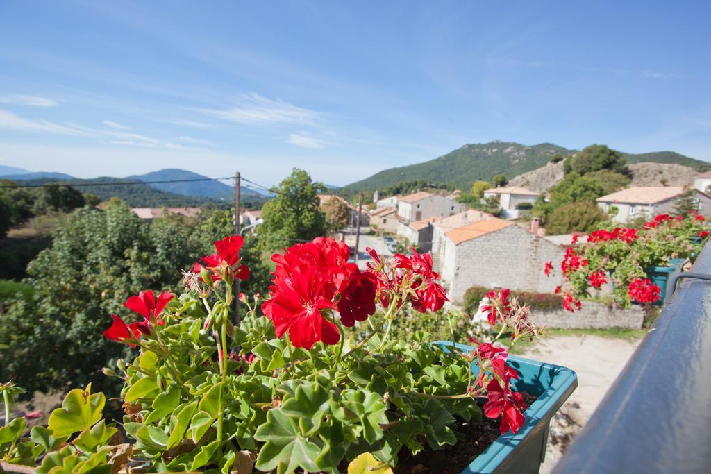Sole E Monti Ξενοδοχείο Quenza Εξωτερικό φωτογραφία