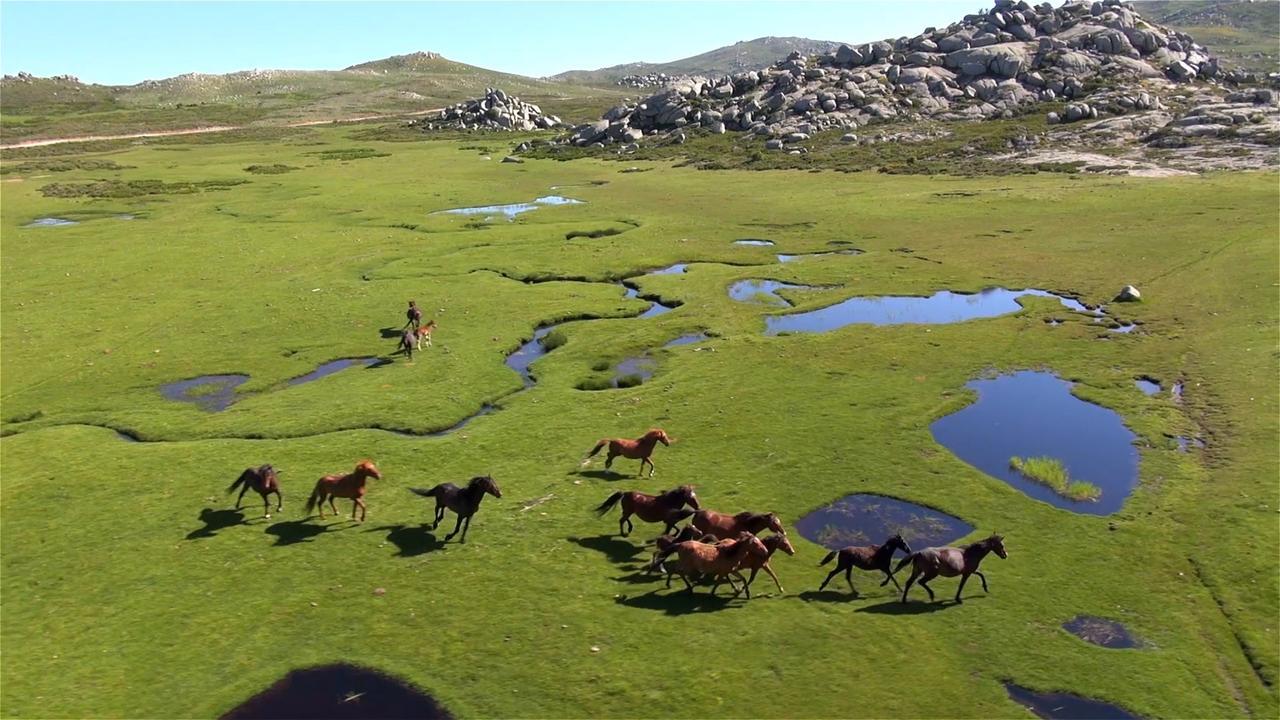 Sole E Monti Ξενοδοχείο Quenza Εξωτερικό φωτογραφία